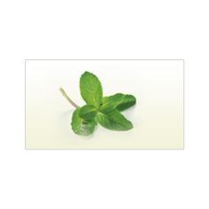 Kartomizéry Mentol čeSKÝCÍGo 2