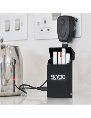 Nabíjecí krabička SKYCIG freedom